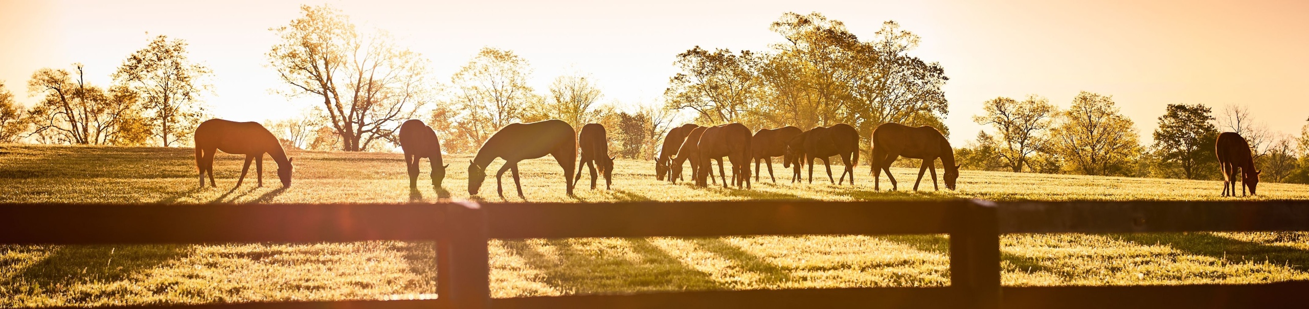 Highlights of Kentucky - 10 day Self Drive with flights